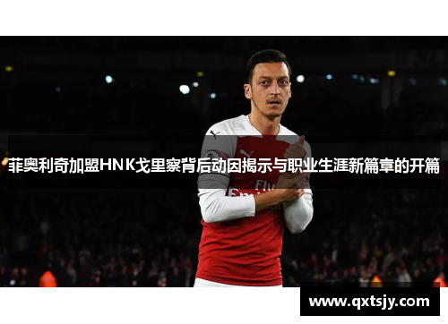 菲奥利奇加盟HNK戈里察背后动因揭示与职业生涯新篇章的开篇 菲奥利奇加盟HNK戈里察背后动因揭示与职业生涯新篇章的开篇