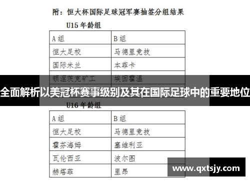 全面解析以美冠杯赛事级别及其在国际足球中的重要地位