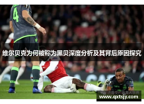 维尔贝克为何被称为黑贝深度分析及其背后原因探究